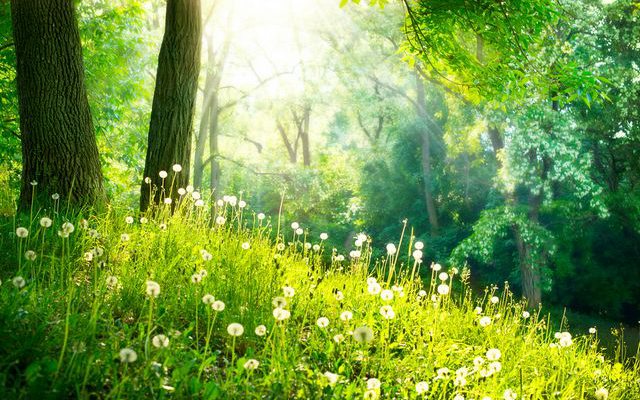 微信簽名一句話內涵 68句唯美簡短有內涵個性簽名大全