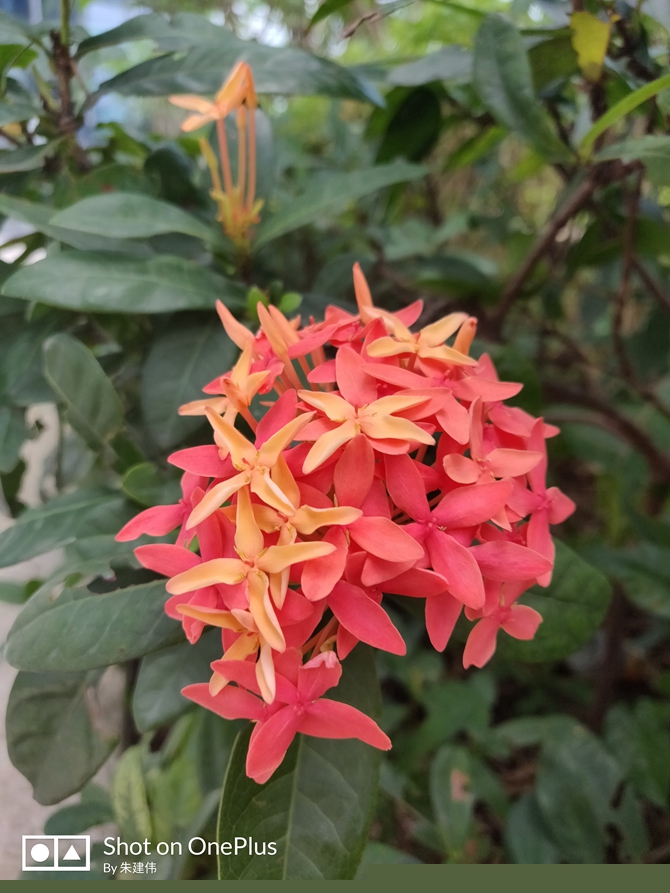 努比亞Z18和一加6哪個好 努比亞Z18與一加6對比評測