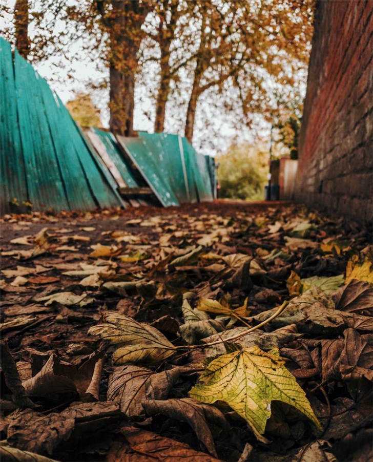 蘋果官方分享iPhone XS拍攝人像模式照片,網(wǎng)友:這是別人的iPhone