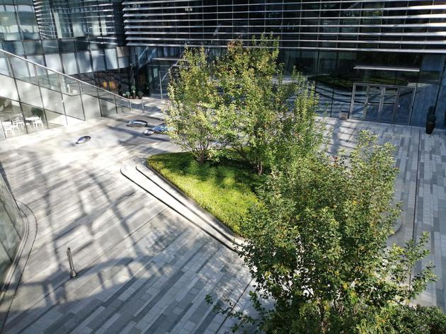 華為暢享9Plus和小米8SE哪個好?暢享9Plus和小米8SE對比區別