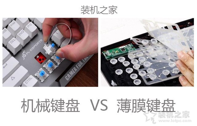 機(jī)械鍵盤怎么選?機(jī)械鍵盤和普通鍵盤的區(qū)別
