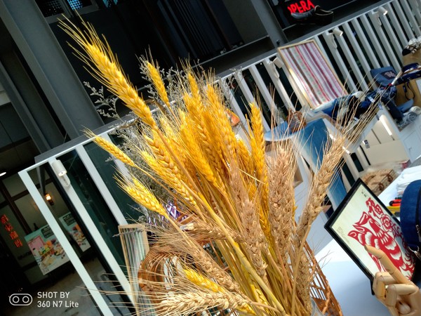 360手機N7 Lite拍照樣張 360手機N7 Lite拍照樣張