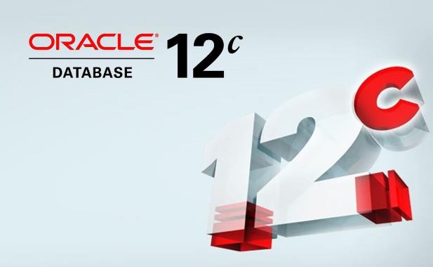 Oracle數(shù)據(jù)庫多條sql執(zhí)行語句出現(xiàn)錯(cuò)誤時(shí)的控制方式