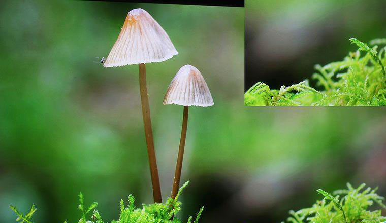 號稱百米無衰減究竟怎么樣？開博爾光纖HDMI線剖析評測