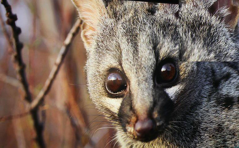 號稱百米無衰減究竟怎么樣？開博爾光纖HDMI線剖析評測