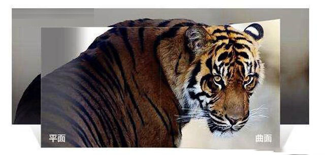 曲面和平面顯示器哪個好？曲面顯示器和平面顯示器的區別及優缺點