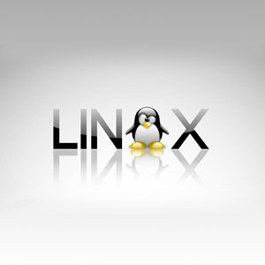 DLINUX系統