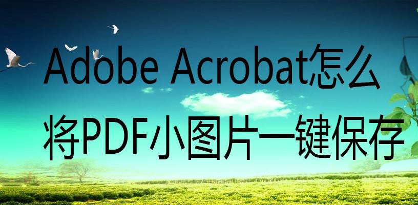 Acrobat怎么批量保存PDF小圖片？adobe Acrobat一鍵保存pdf小圖片的技巧